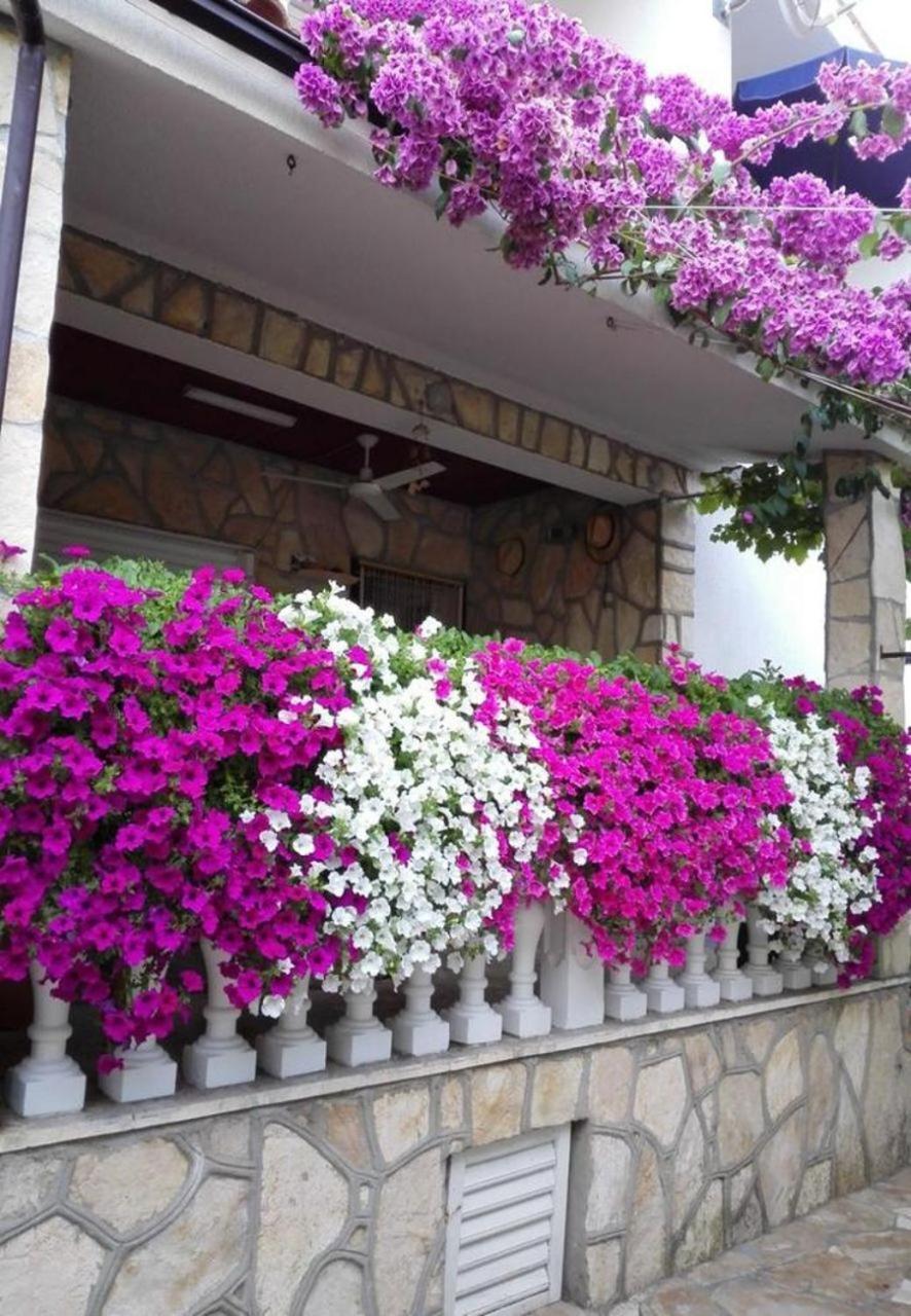 Apartments Dobri - 500M From Beach Nin Exterior photo